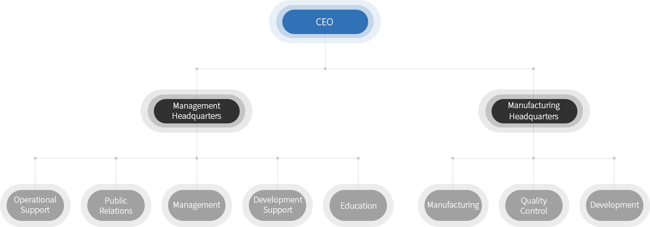 CEO/Management Headquarters(Operational Support, Public Relations, Management, Development Support, Education)
              /Manufacturing Headquarters(Manufacturing,Quality Control,Development)